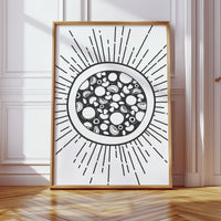 Summer Circles Shine Like Midday Stars