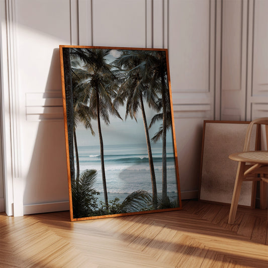 Tides Dance Beneath Tall Palms