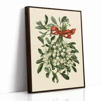 Mistletoe, Tied in Red