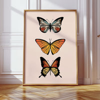 Three Wings Tell Summer Stories