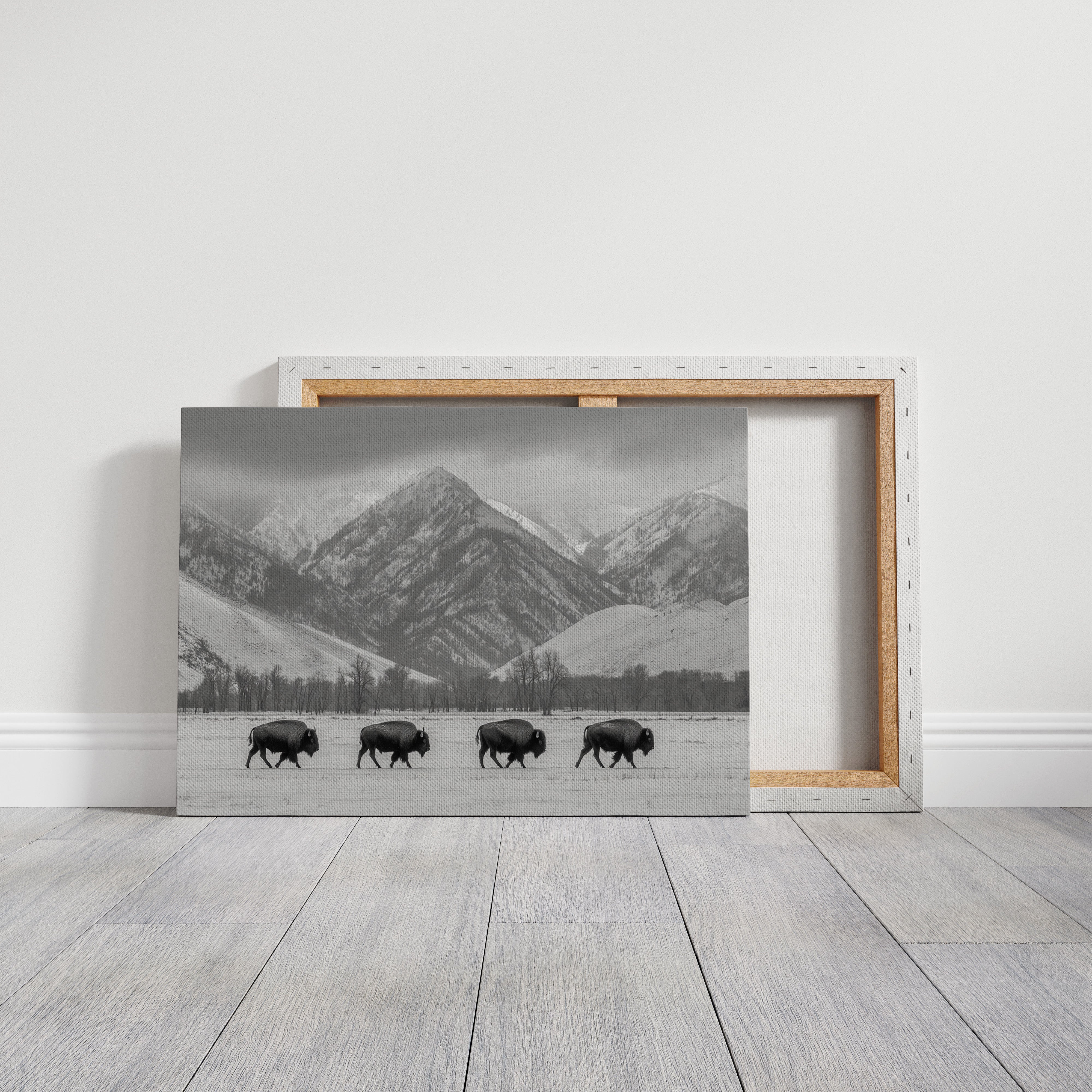 Where the Buffalo Roam