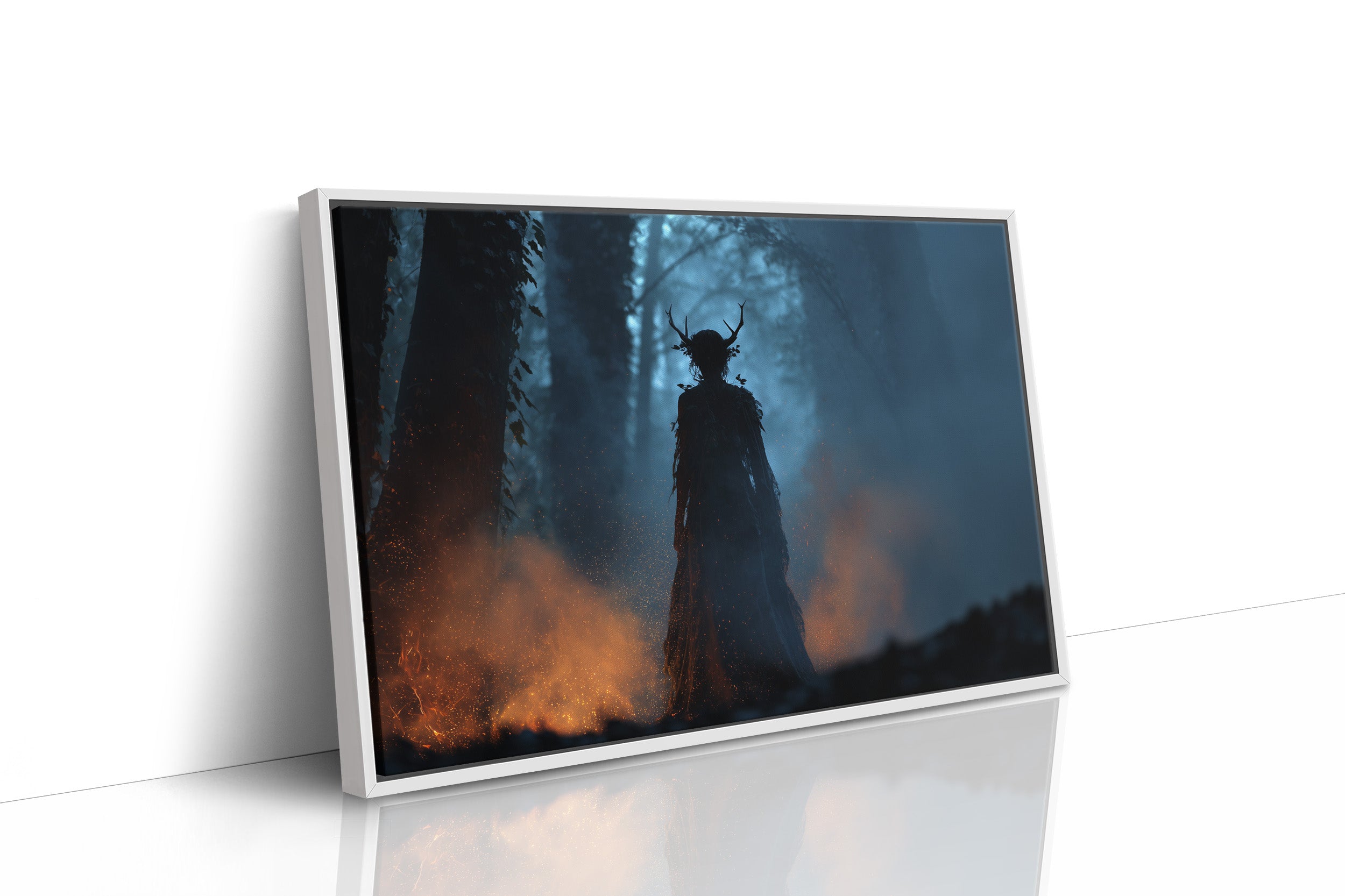 Ancient Forest Meets Modern Study