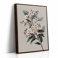 Ivory Blossoms On Quiet Branch