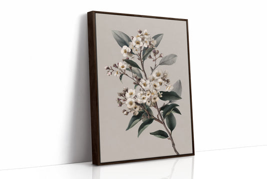 Ivory Blossoms On Quiet Branch