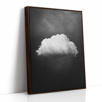 Still Cloud in a Silent Sky