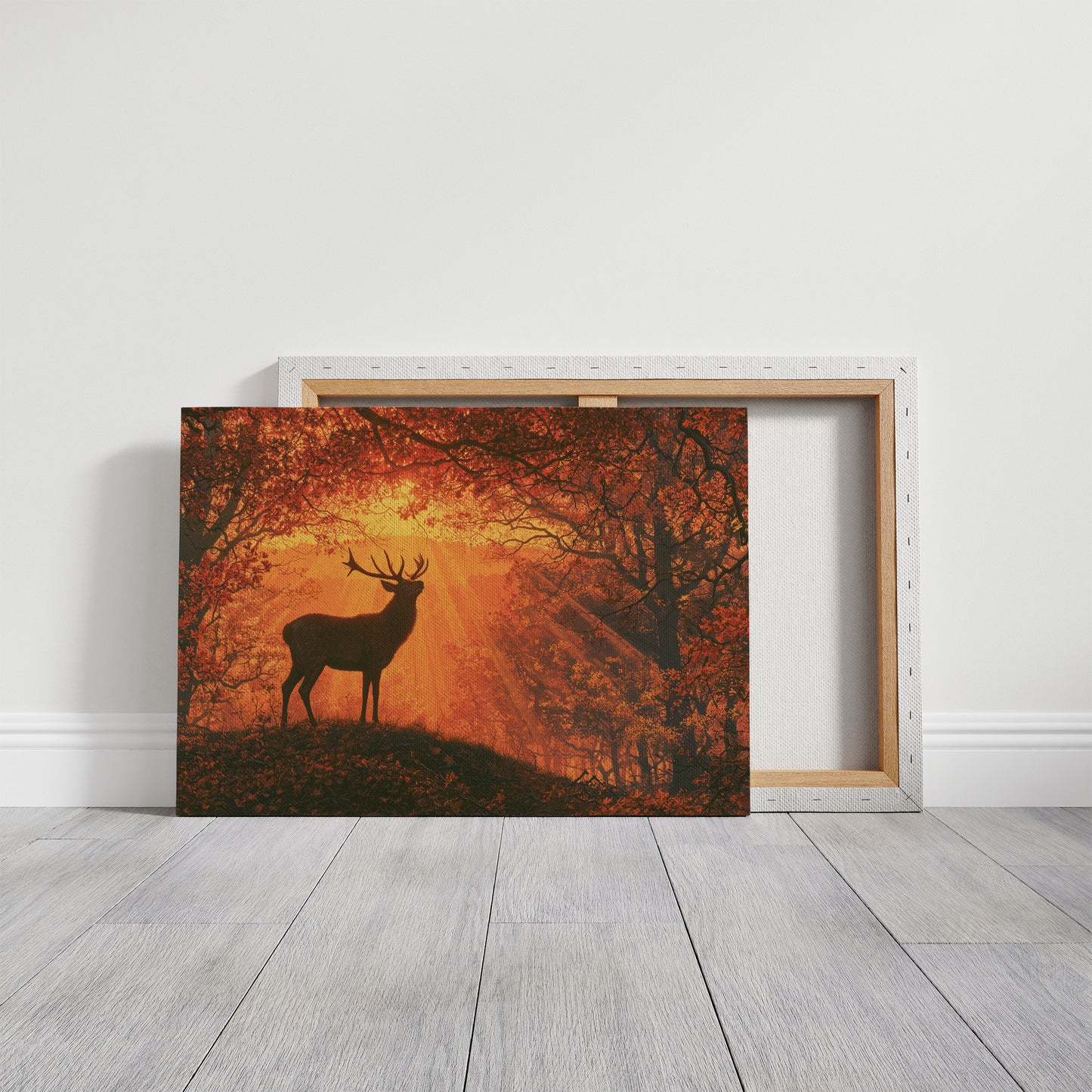 Stag, Struck by Sunrise