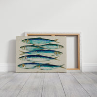 Catch of the Day, Sardine Study