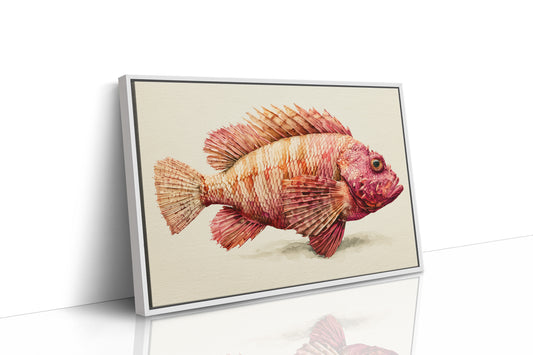 Coral Scorpionfish Study