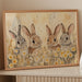 Cottontails Share Summer Daisy Tales
