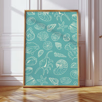 Seashells Draw Maps To Paradise