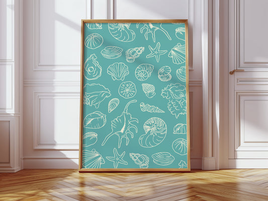 Seashells Draw Maps To Paradise