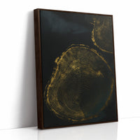 Shadow Rings in Gold