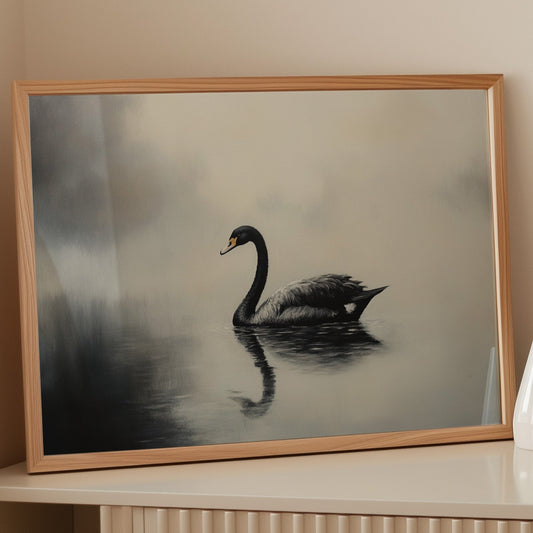 Black Swan Glides Through Morning Fog