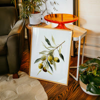 Harvested From Sunlit Groves