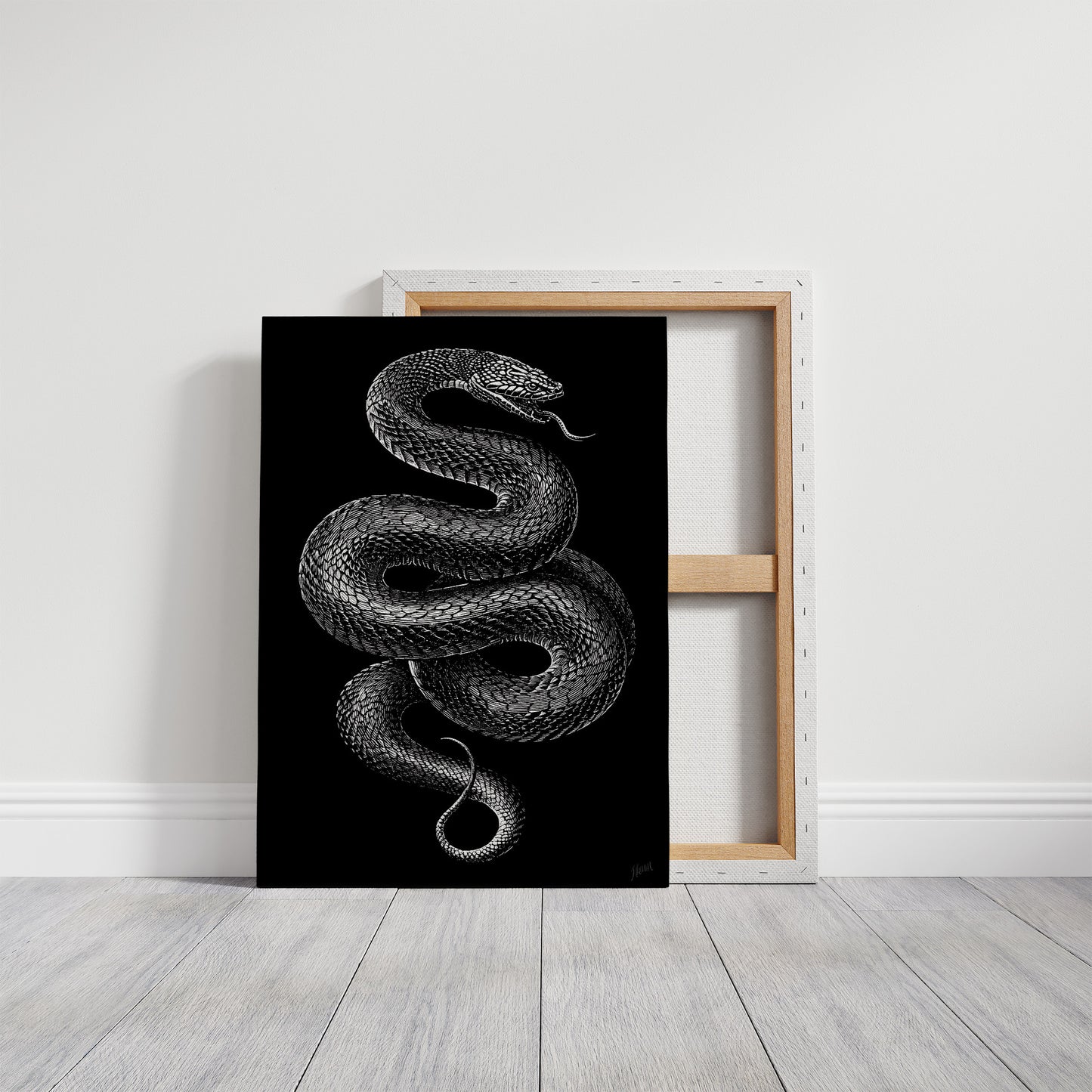 Midnight Scales In Silver Light