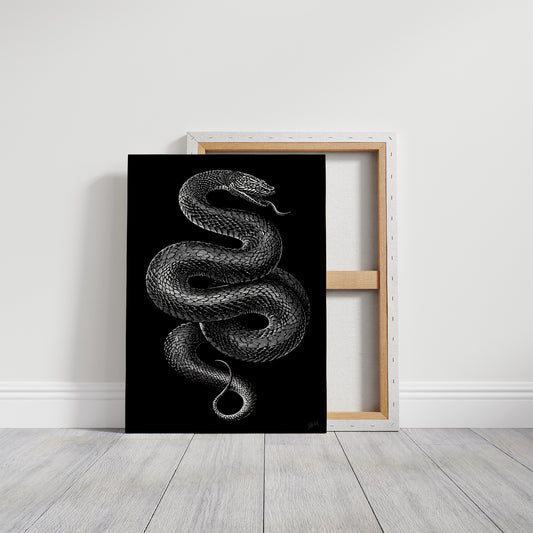 Midnight Scales In Silver Light