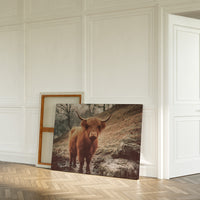 Highland Morning Mist And Stone