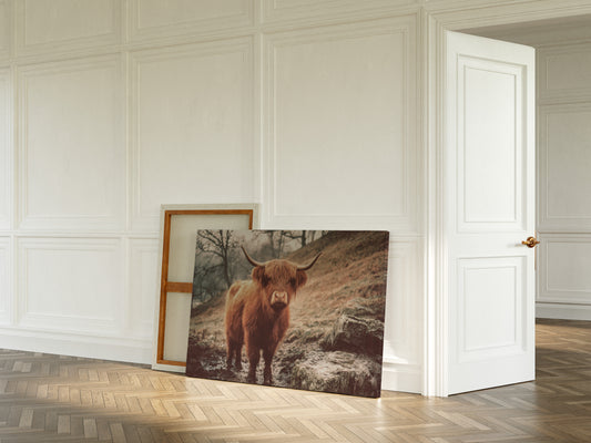 Highland Morning Mist And Stone