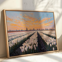 Fields of Light and Bloom