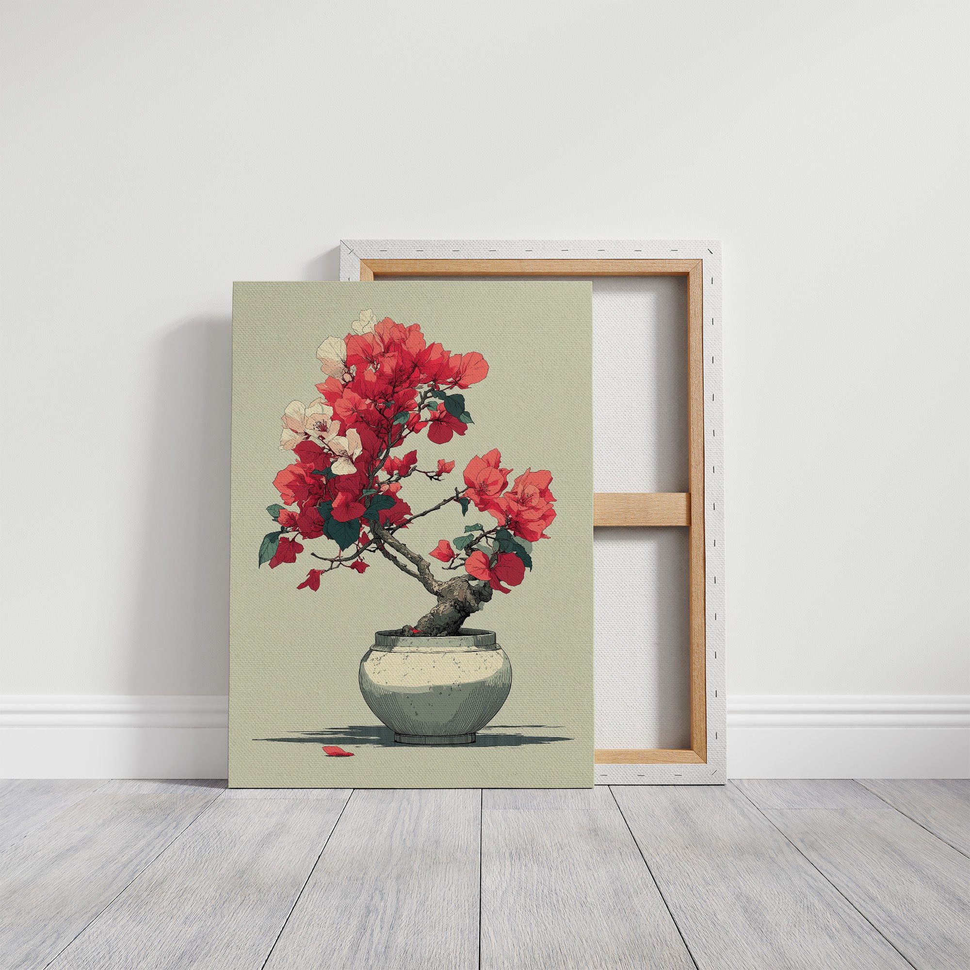 Bougainvillea in Bloom