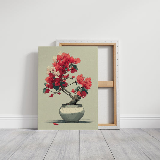 Bougainvillea in Bloom