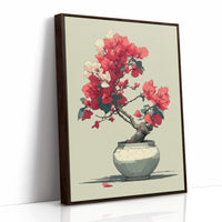 Bougainvillea in Bloom