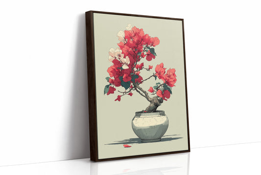 Bougainvillea in Bloom