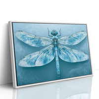 Frost-Blue Dragonfly Study
