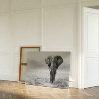 Wisdom Walks The Savanna Plains
