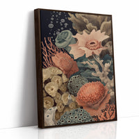 Coral Gardens Whisper Ancient Secrets