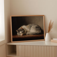 Afternoon Light On Sleeping Grace