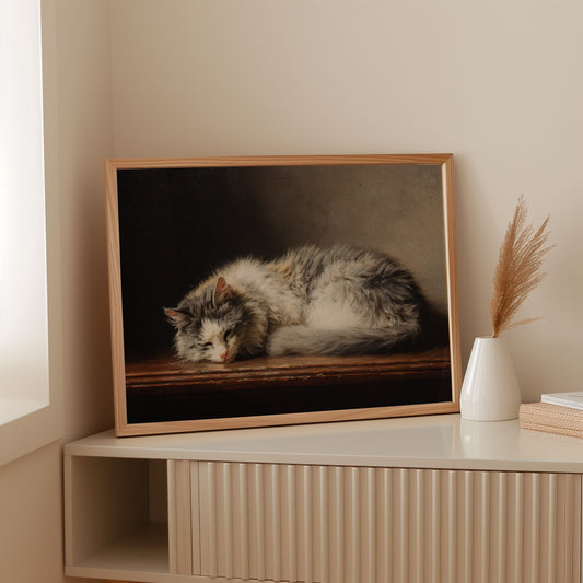 Afternoon Light On Sleeping Grace