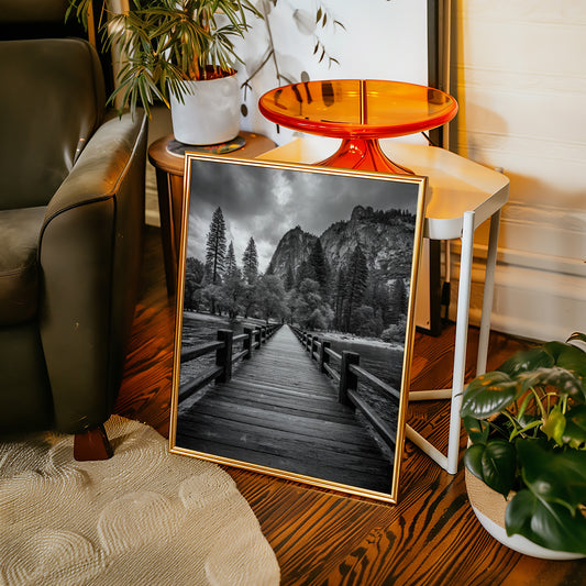 Journey Through Timbered Paths