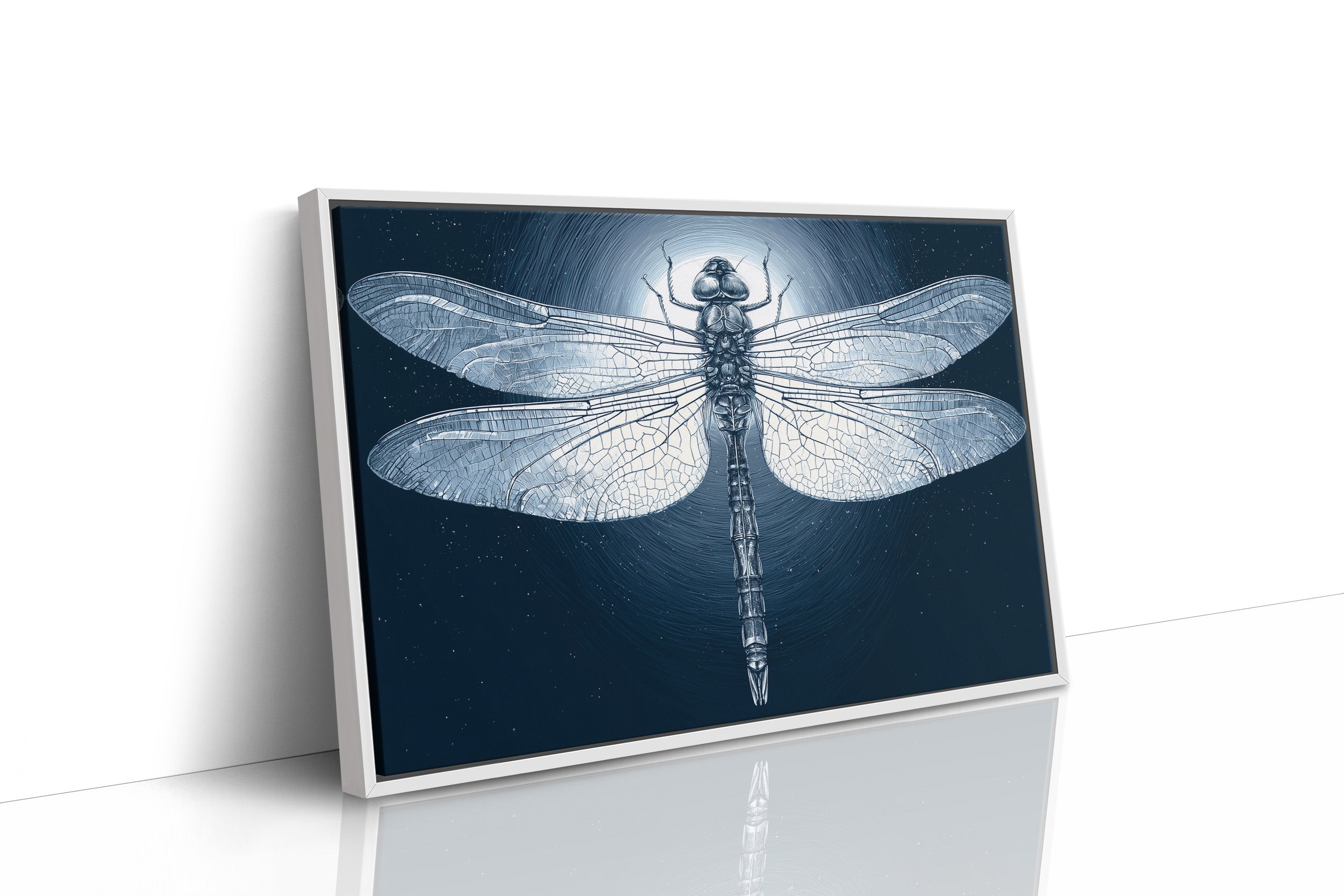 Dragonfly by Moonlight