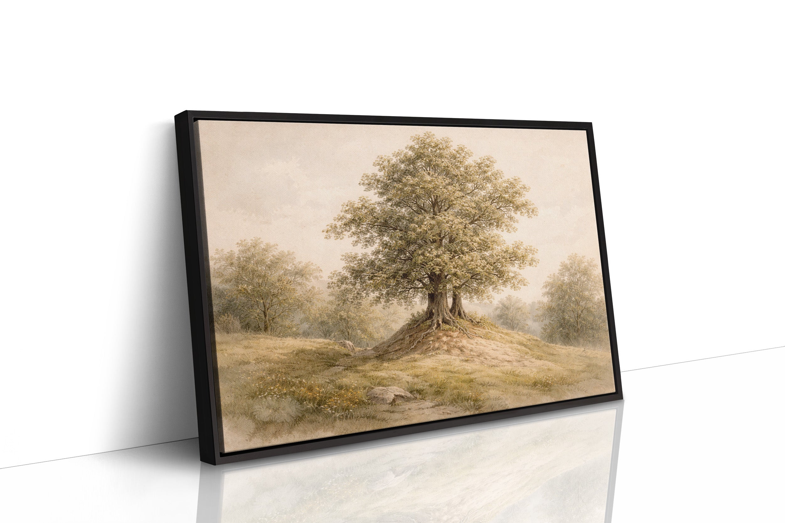 Sentinel Oak Crowns Golden Hilltop