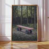 Pink Bench Waits In Forest Shade