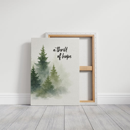 Evergreens Carry Quiet Promises