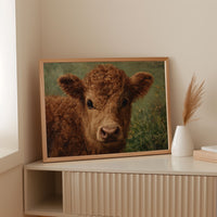 Sweet Summer Calf Holds Wonder