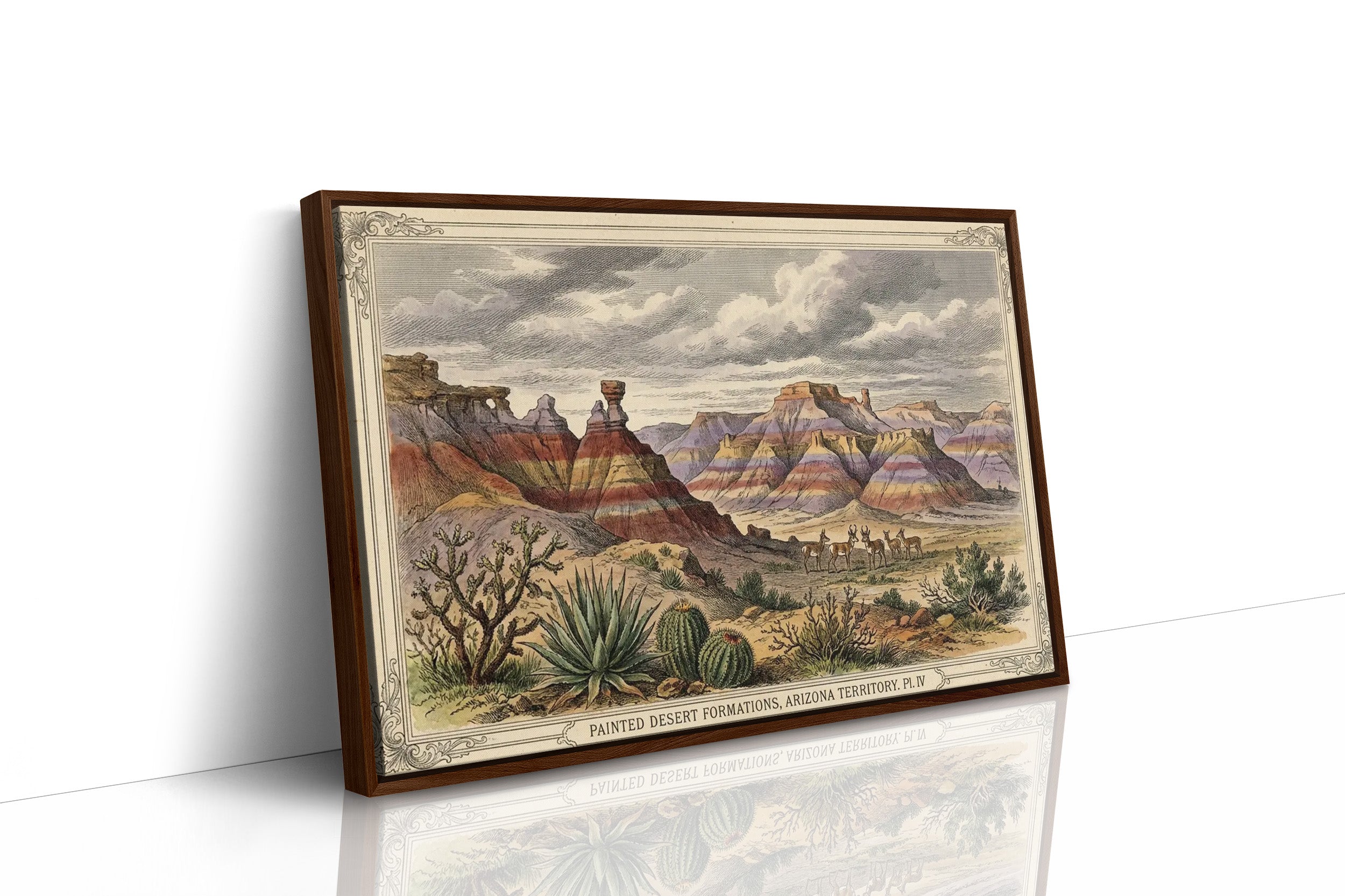 Painted Desert, Plate IV