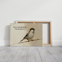 Sparrow Watched Over