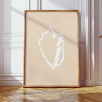 Seashell Sketches In Blush Light