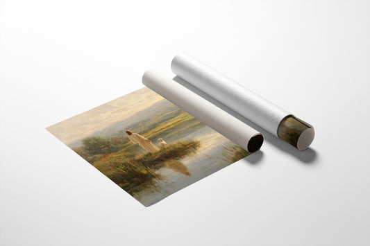 Stillness By The River's Edge