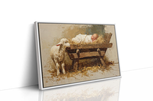 Gentle Lamb Keeps Christmas Watch