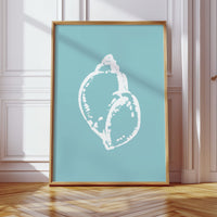 Seashell Sketches A Coastal Memory