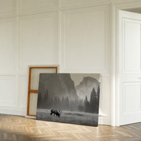 Lone Elk Graces Valley Floor