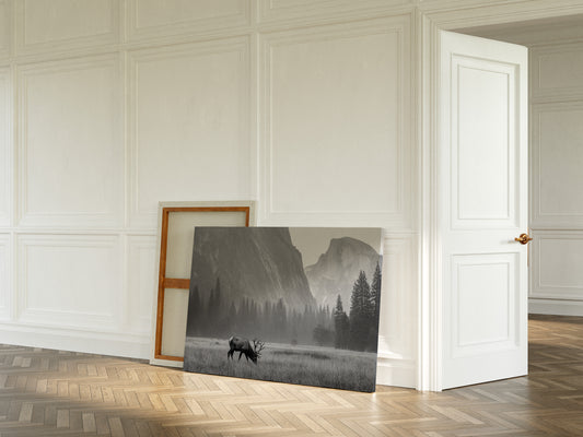 Lone Elk Graces Valley Floor