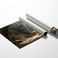 Sunbeams Pierce The Forest Silence