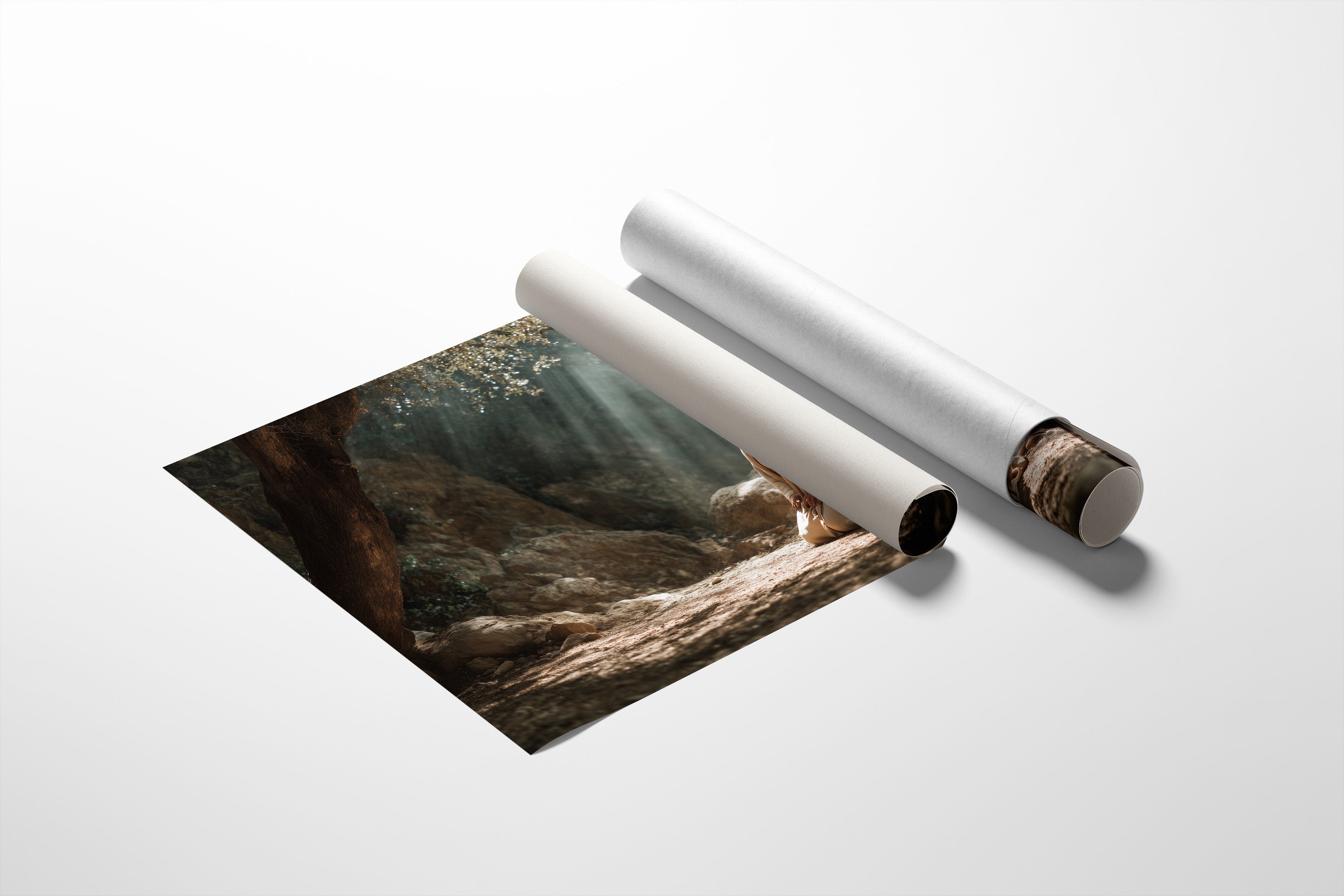 Sunbeams Pierce The Forest Silence