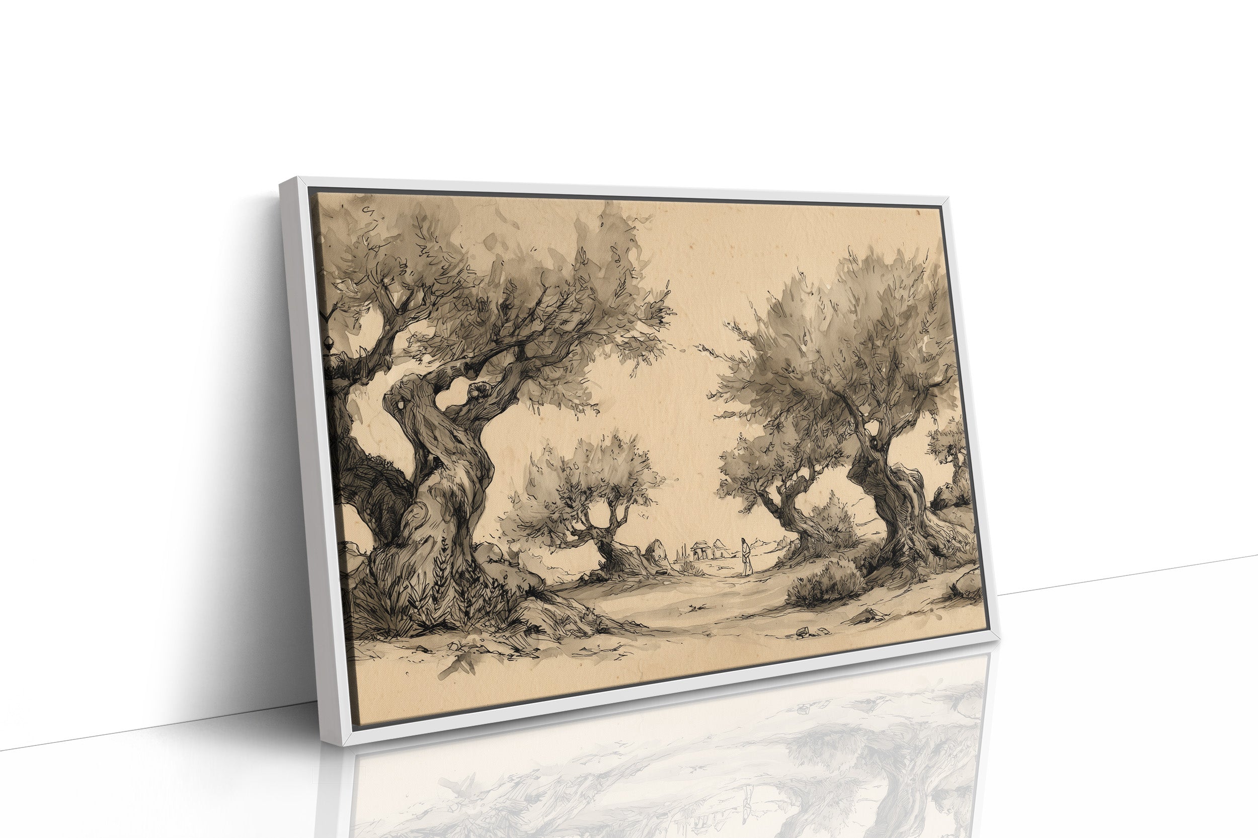 Ancient Olives Guide The Wanderer