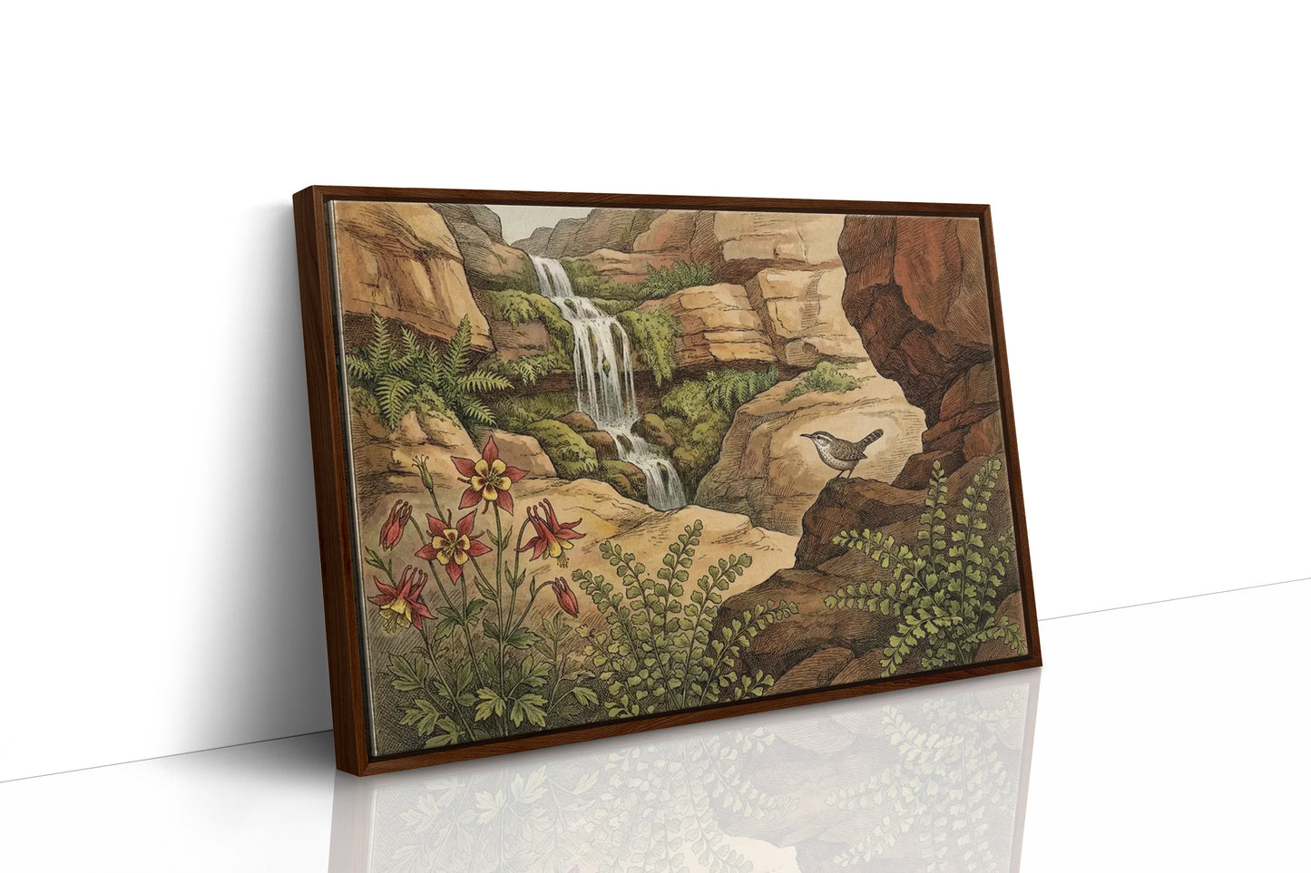 Canyon Wren by the Falls